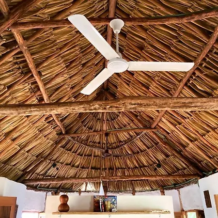 Encantadora Villa Maya Tradicional En Rancho Agroecologico Tzucaceb Exterior photo