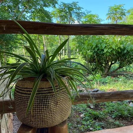 Encantadora Villa Maya Tradicional En Rancho Agroecologico Tzucaceb Exterior photo