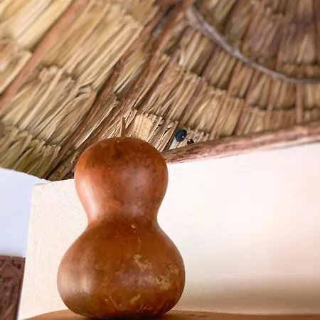 Encantadora Villa Maya Tradicional En Rancho Agroecologico Tzucaceb Exterior photo