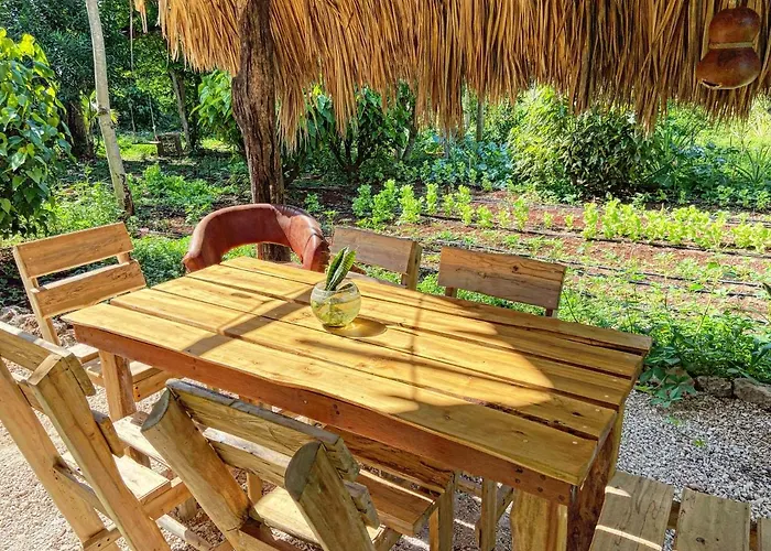 Encantadora Villa Maya Tradicional En Rancho Agroecologico