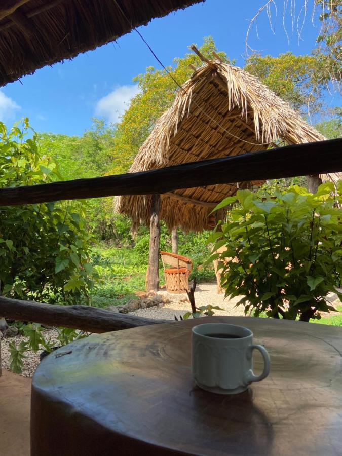Hébergement de vacances Encantadora Maya Tradicional En Rancho Agroecologico *