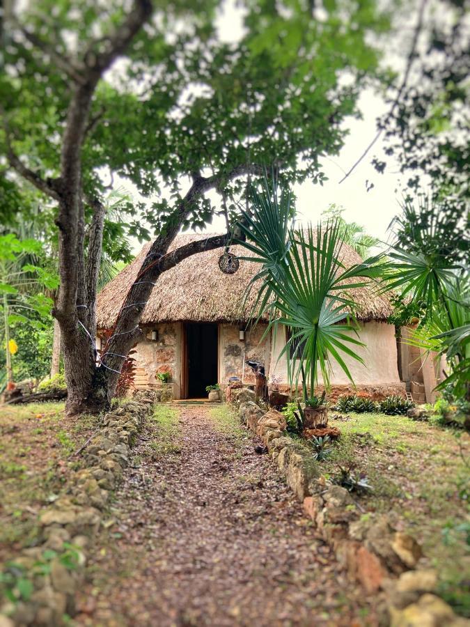 Encantadora Maya Tradicional En Rancho Agroecologico Hébergement de vacances