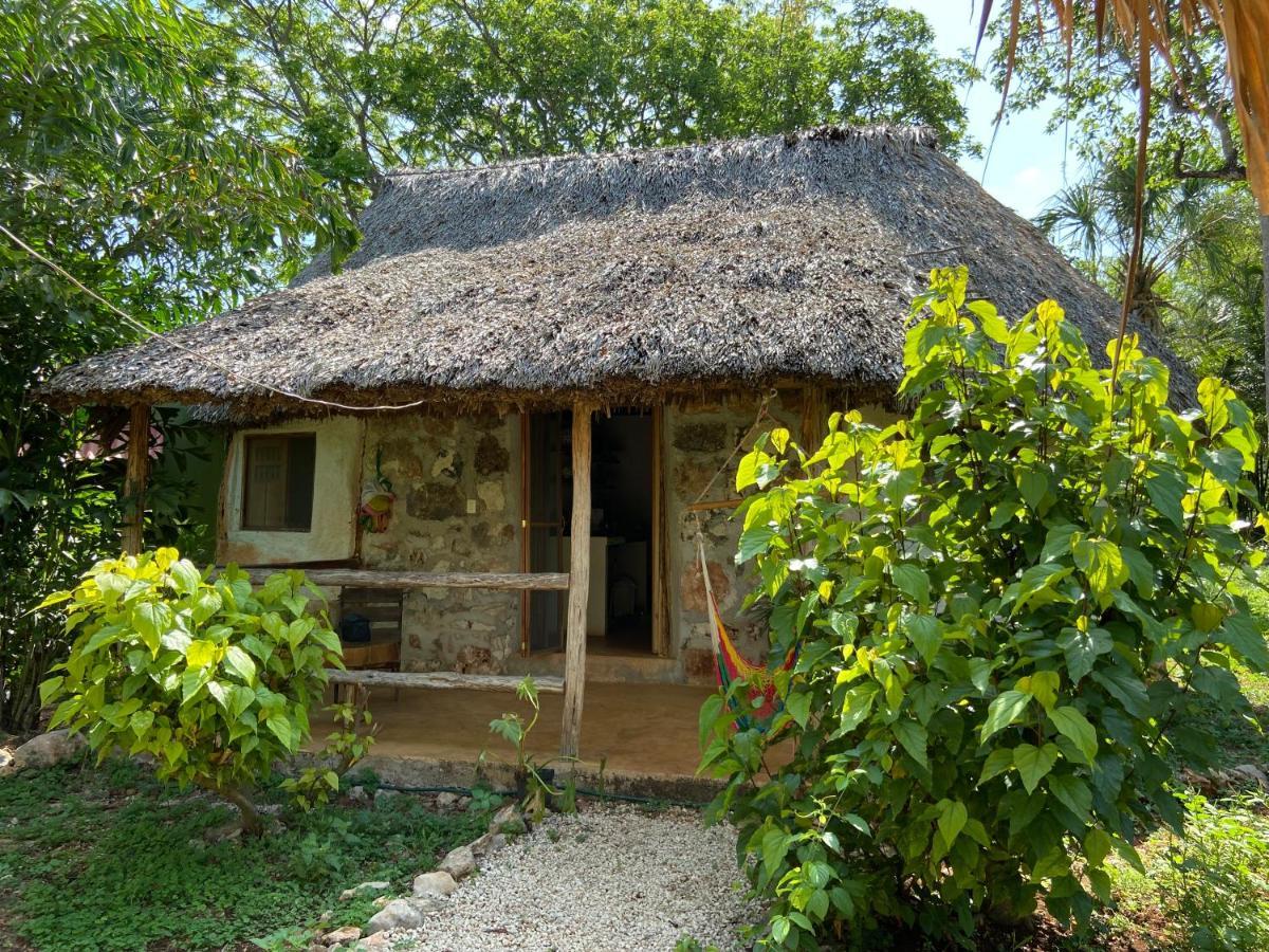 Encantadora Maya Tradicional En Rancho Agroecologico Tzucaceb