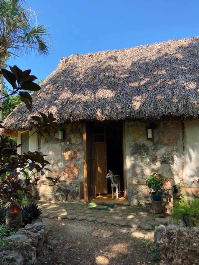 Hébergement de vacances Encantadora Maya Tradicional En Rancho Agroecologico Tzucaceb