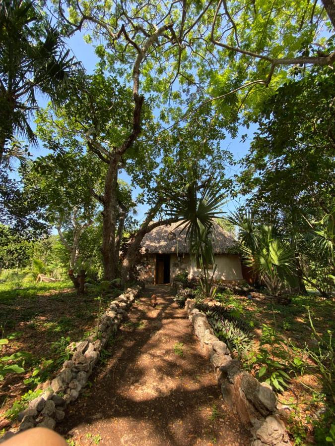 Encantadora Maya Tradicional En Rancho Agroecologico Hébergement de vacances *