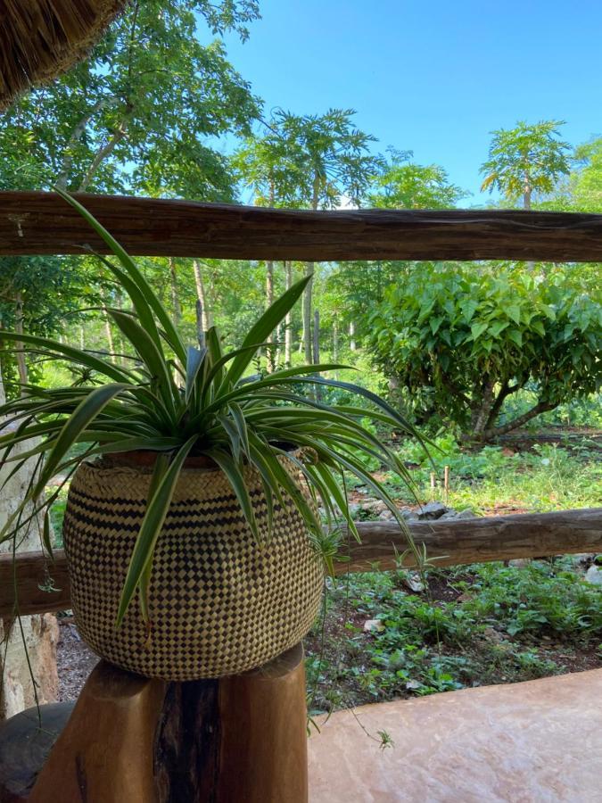 Encantadora Maya Tradicional En Rancho Agroecologico Hébergement de vacances *