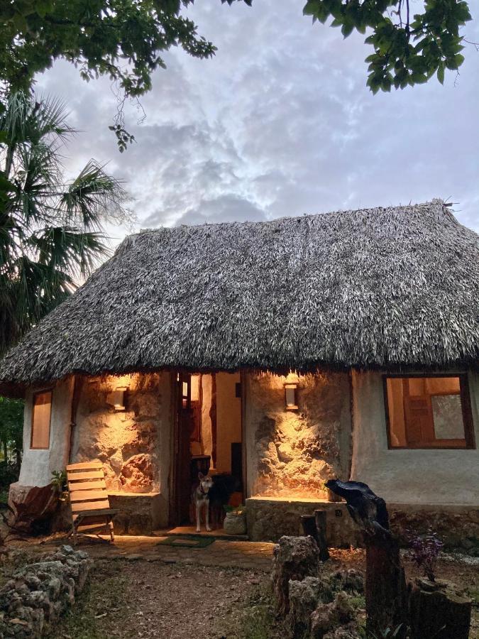 Encantadora Maya Tradicional En Rancho Agroecologico Hébergement de vacances *