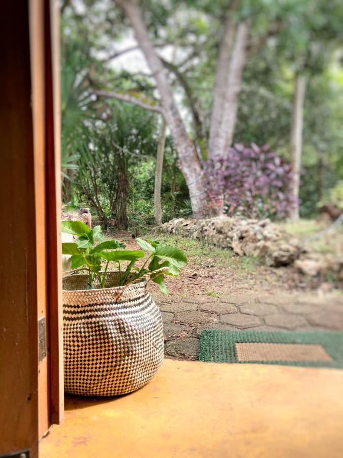 Encantadora Maya Tradicional En Rancho Agroecologico *